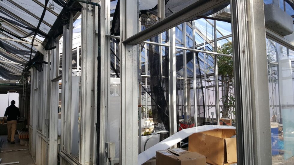 Kent State greenhouse Renovation